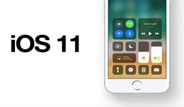 iOS 11分类